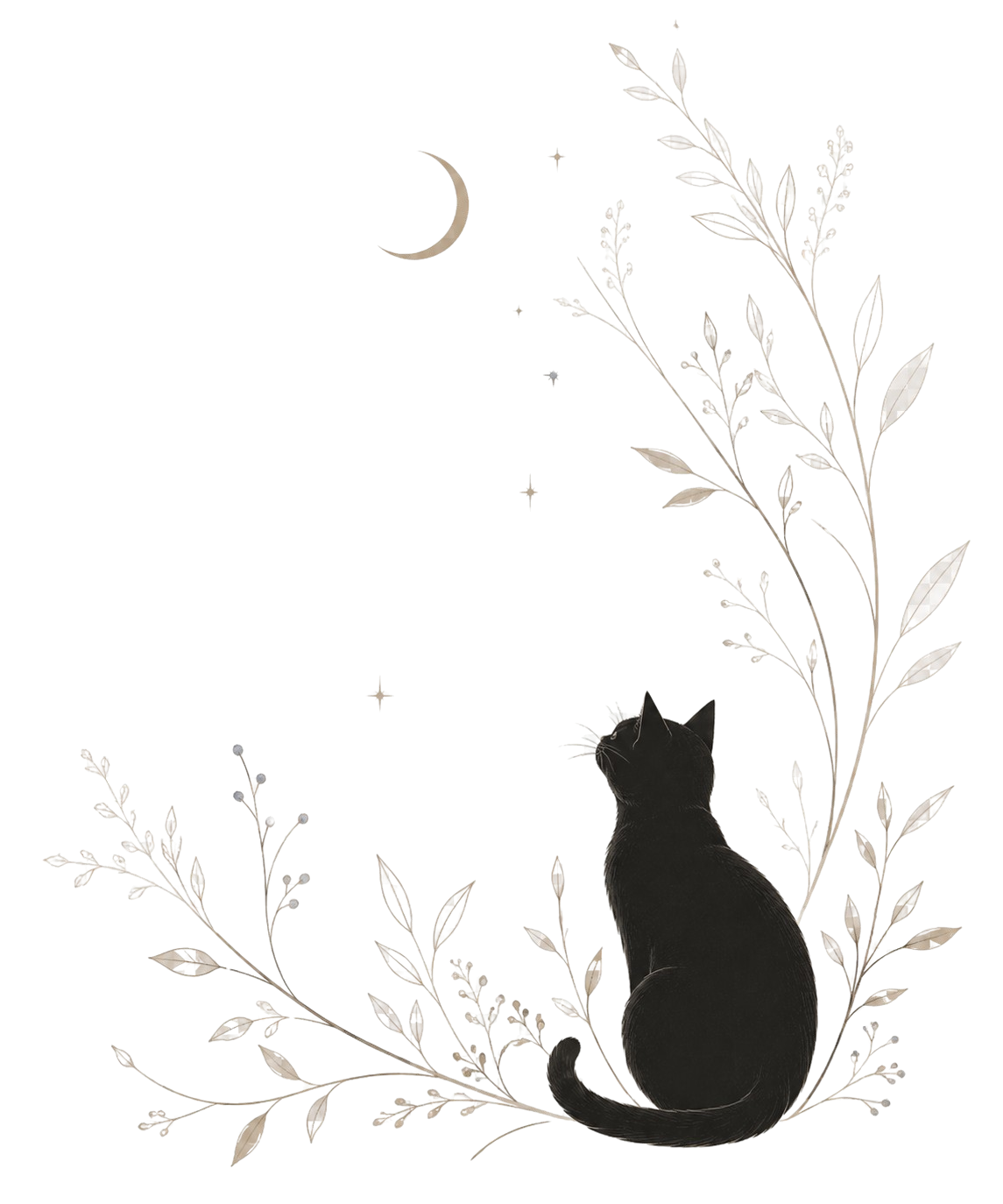 三日月と星を見上げる黒猫と、やわらかな草花のイラスト